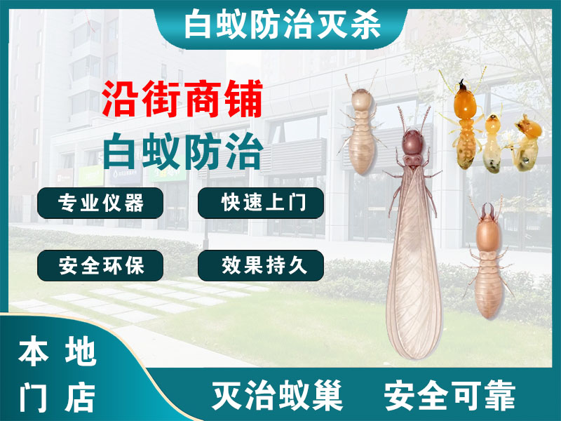 南湖区沿街商铺白蚁防治