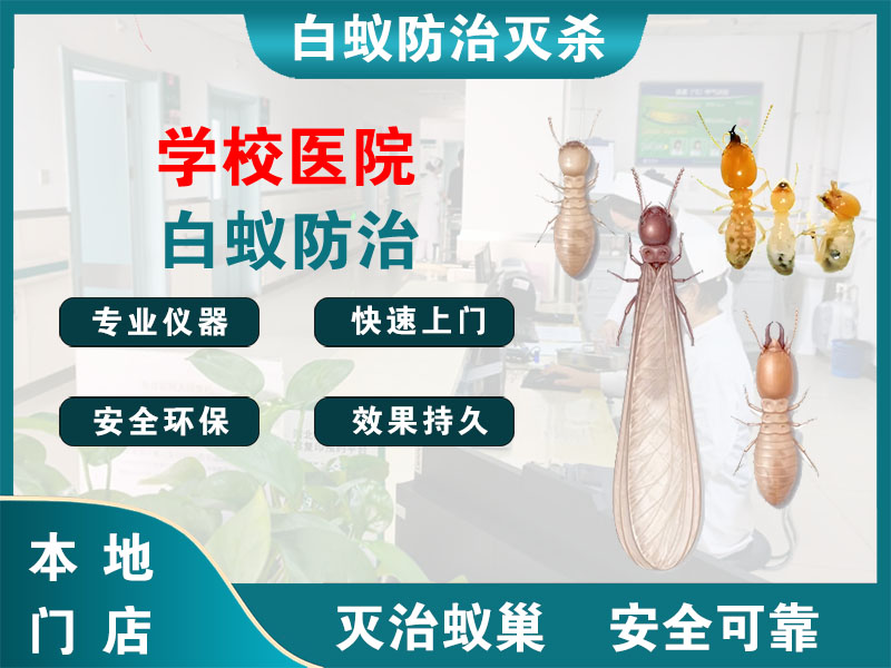 南湖区学校医院白蚁防治