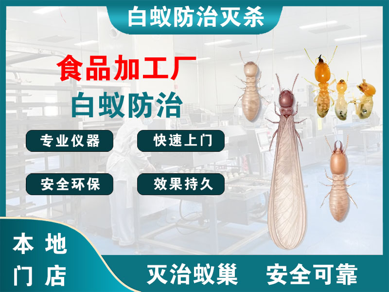 南湖区食品加工厂白蚁防治