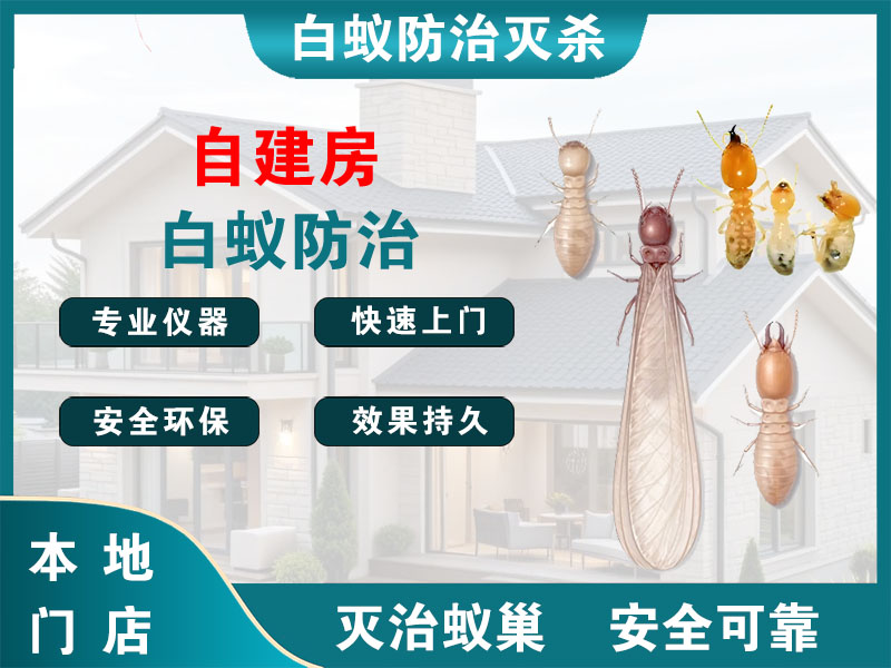 南湖区自建房白蚁防治