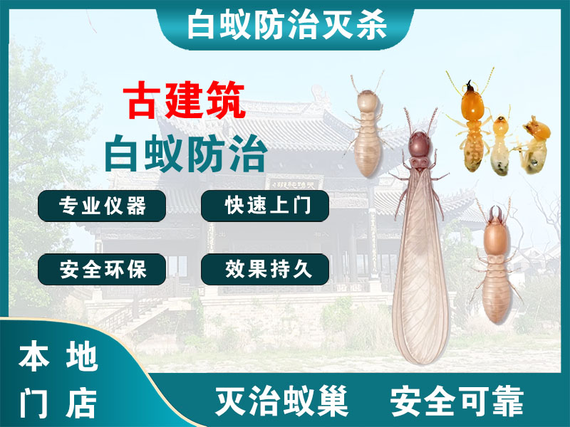 南湖区古建筑白蚁防治