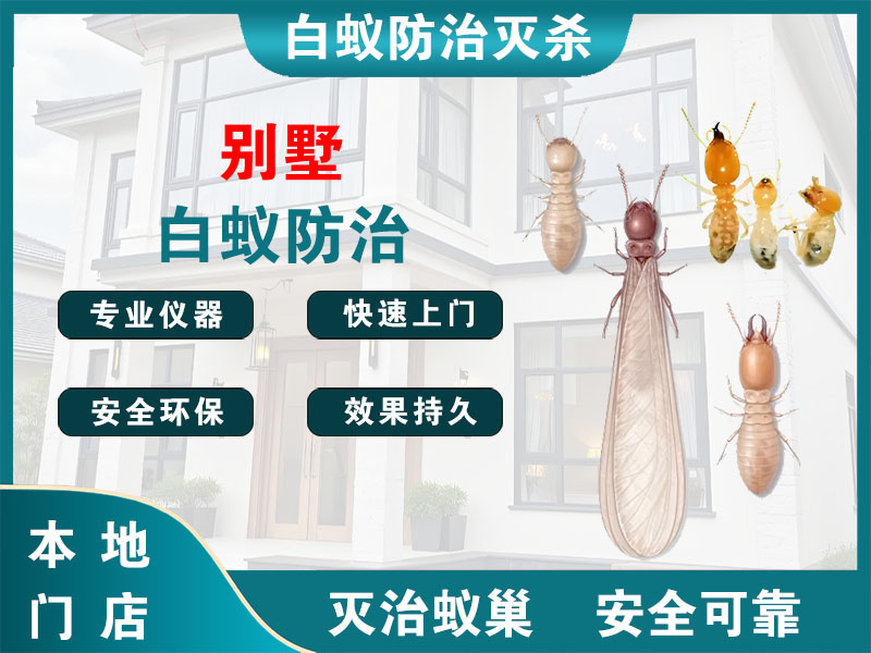 南湖区别墅白蚁防治