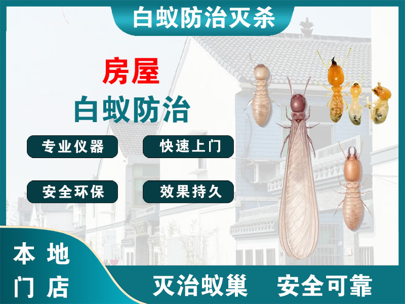 南湖区房屋白蚁防治